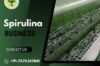 Spirulina Farming Bu...