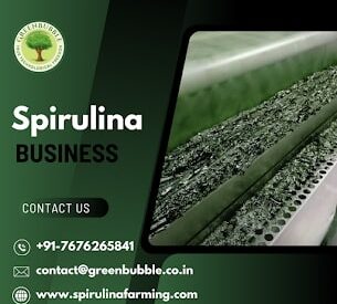 Spirulina Farming Bu...